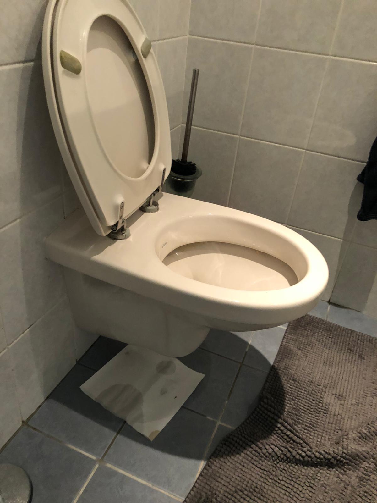 hangtoilet Leersum